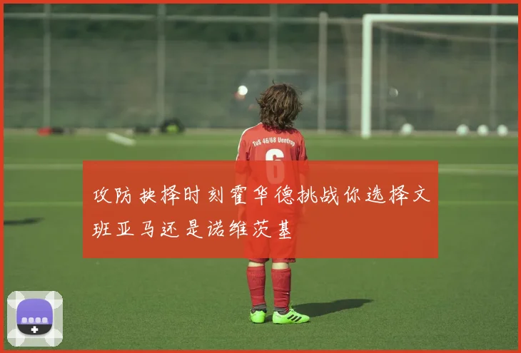 攻防抉择时刻霍华德挑战你选择文班亚马还是诺维茨基