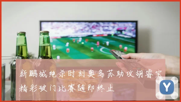 新鹏城绝杀时刻奥乌苏助攻胡睿宝精彩破门比赛随即终止
